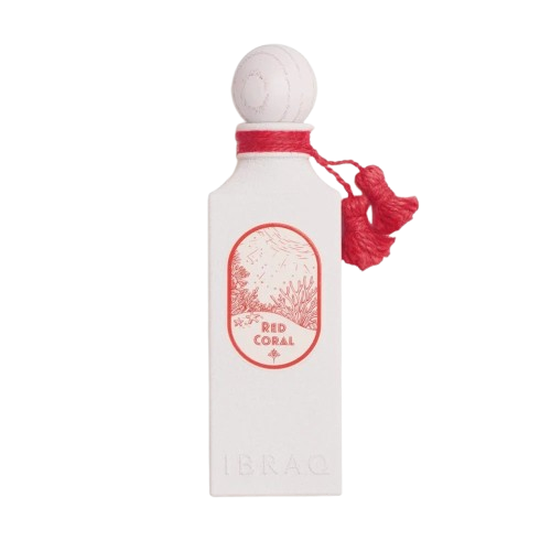 Organic Vegetable Box